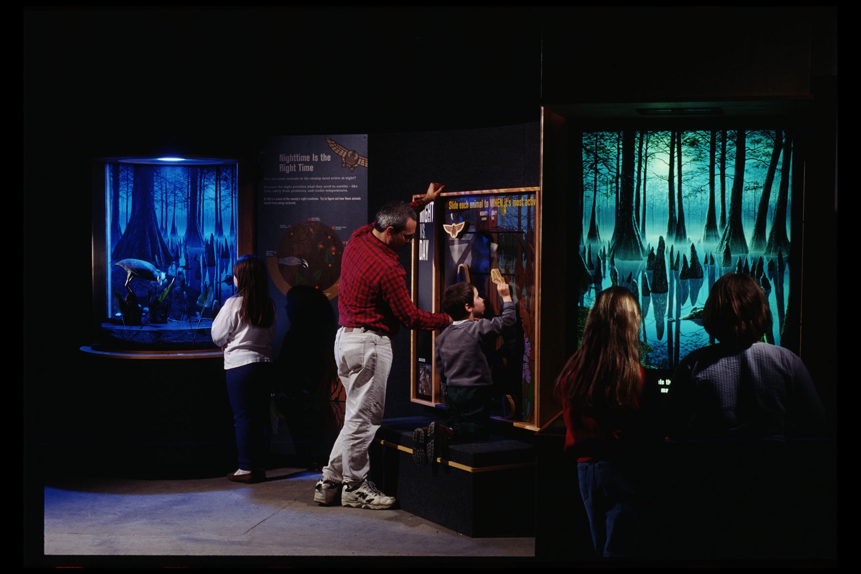 Exhibit view